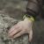 Security Skills Shortage Puts Firms at Risk
